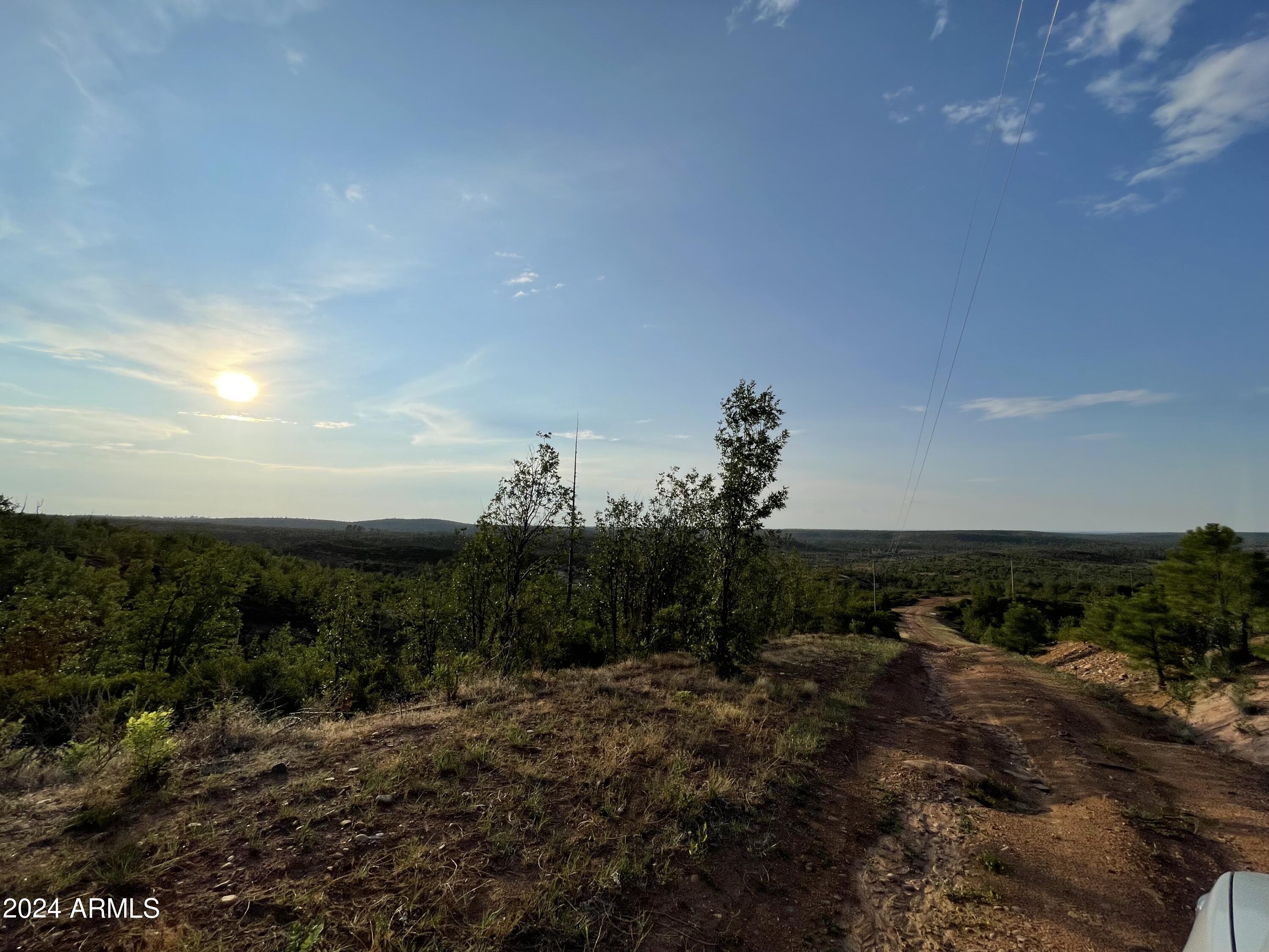 0 East 260th Highway Overgaard, AZ 85933 - Photo 6 of 8 a view of a houses with a yard