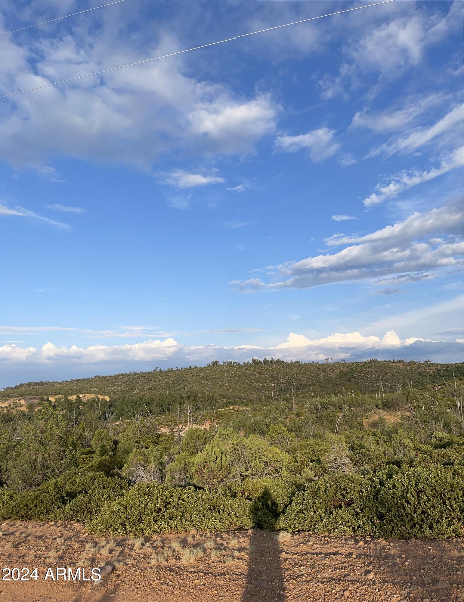 0 East 260th Highway Overgaard, AZ 85933 - Photo 7 of 8 a view of an ocean