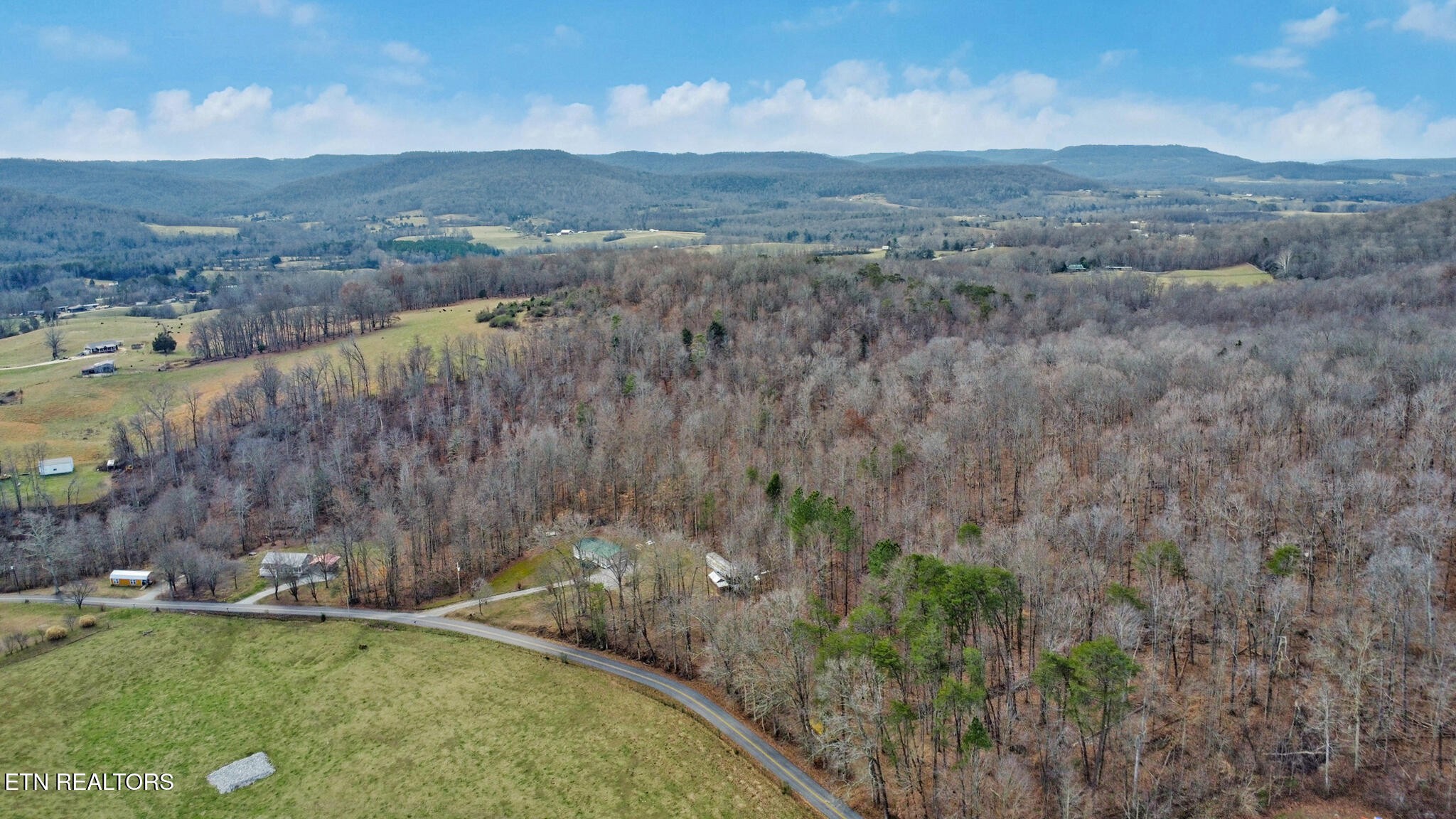 0 Shellotte Loop Pall Mall, TN 38577 - Photo 11 of 20 a view of a dry yard with trees