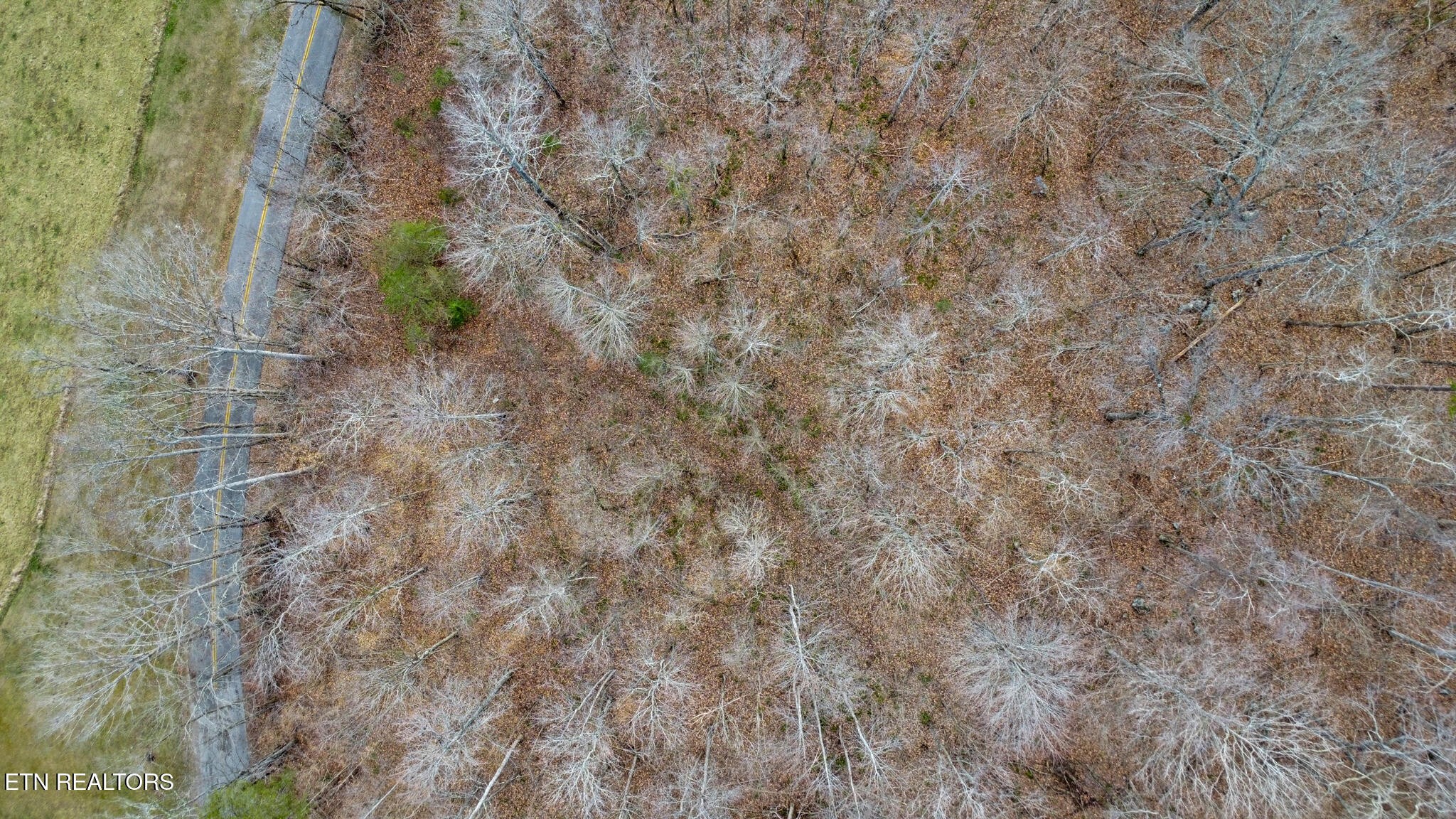 0 Shellotte Loop Pall Mall, TN 38577 - Photo 17 of 20 a close up of a white marble wall