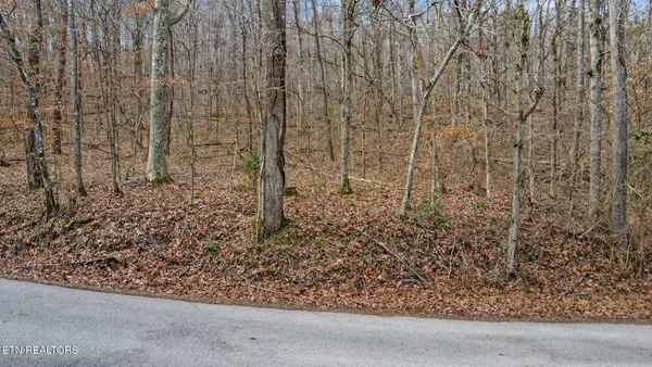 $225,000 | 0 Shellotte Loop, Pall Mall, TN 38577