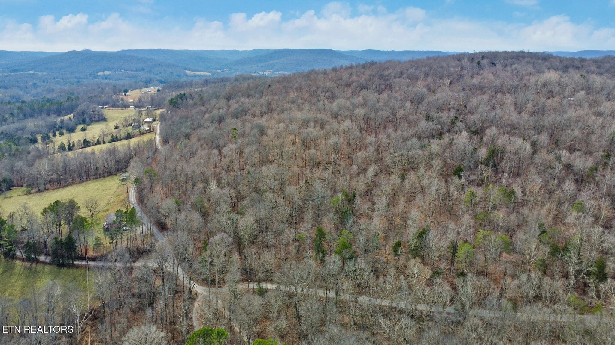 0 Shellotte Loop Pall Mall, TN 38577 - Photo 4 of 19
