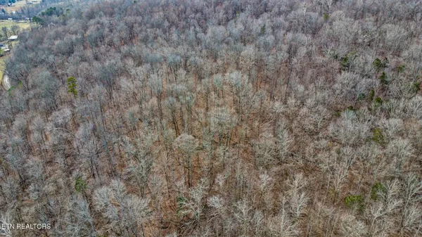 a view of a mountain range with trees in the background