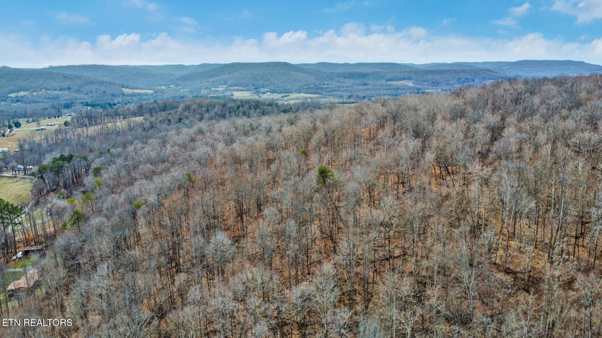 0 Shellotte Loop Pall Mall, TN 38577 - Photo 8 of 20 a view of a dry yard