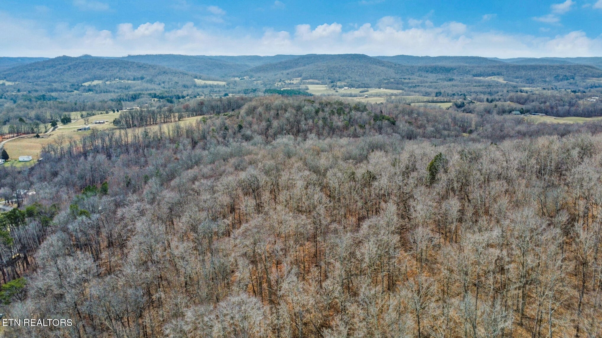 0 Shellotte Loop Pall Mall, TN 38577 - Photo 9 of 20 a view of a dry field