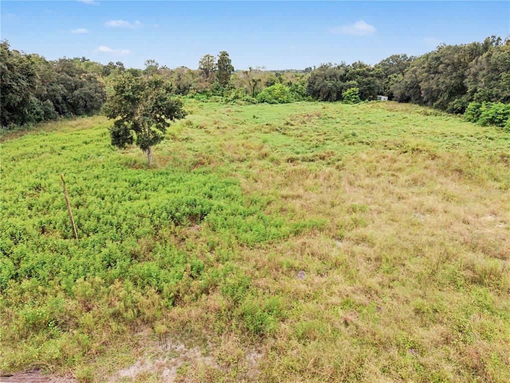 6560 Stark Road Seffner, FL 33584 - Photo 3 of 10 Gallery Image 3