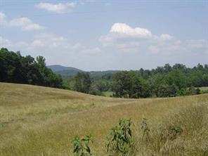2352 Welding Shop Road Vale, NC 28168 - Photo 1 of 1 a view of a field with an ocean