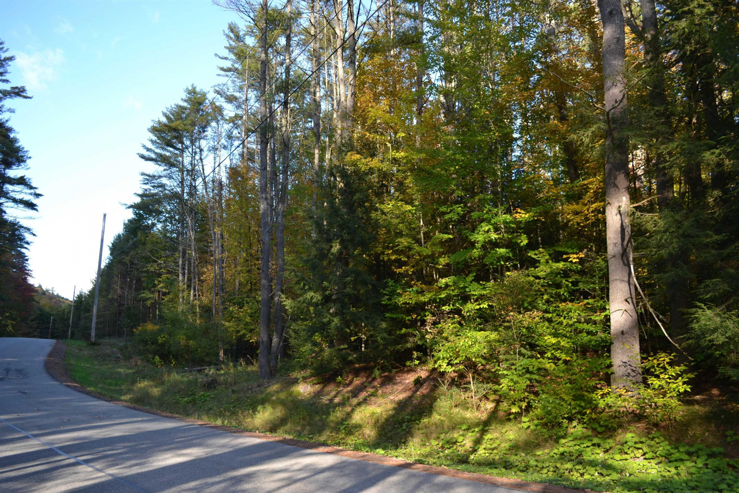L827 Hendricks Road Bolton Landing, NY 12814 - Photo 8 of 10 Photo 7
