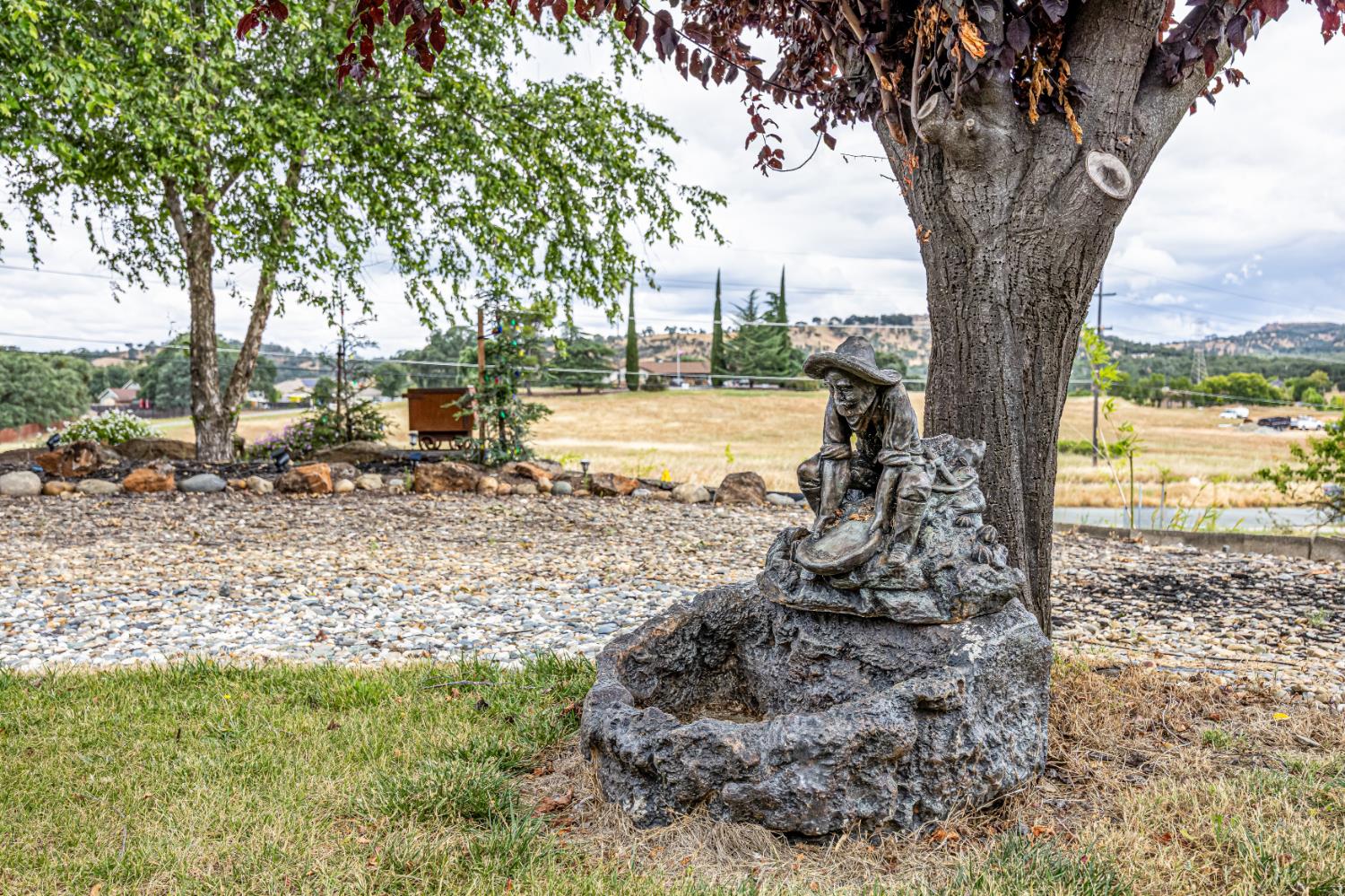 2083 State Rte 26 Valley Springs, CA 95252 - Photo 45 of 59 a view of a tree with a yard