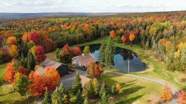 3145 State Road Castle Hill, ME 04757 - Photo 1 of 95 Fall foliage