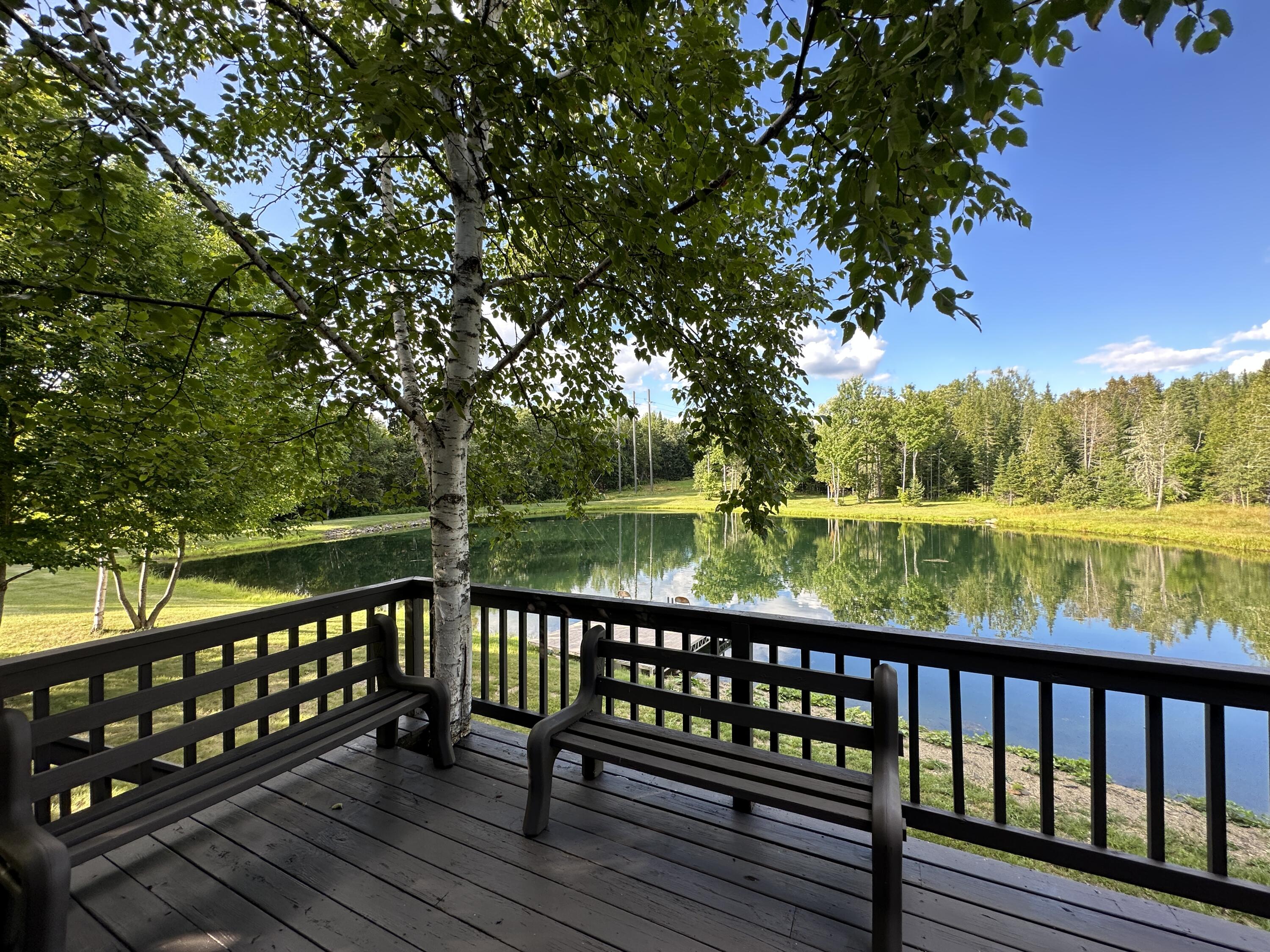 3145 State Road Castle Hill, ME 04757 - Photo 19 of 95 IMG_2299(2)