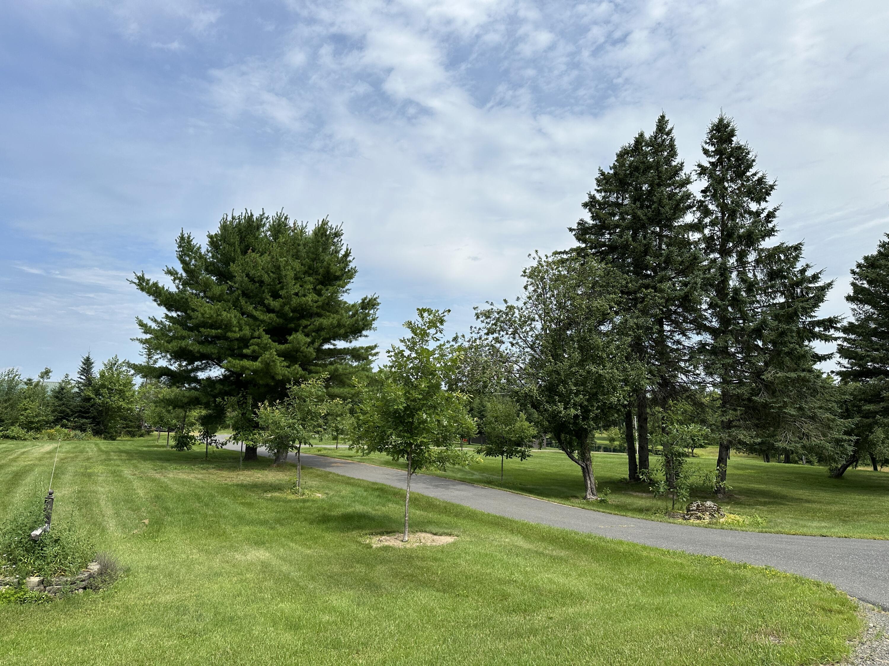 3145 State Road Castle Hill, ME 04757 - Photo 83 of 95 IMG_2043(3)