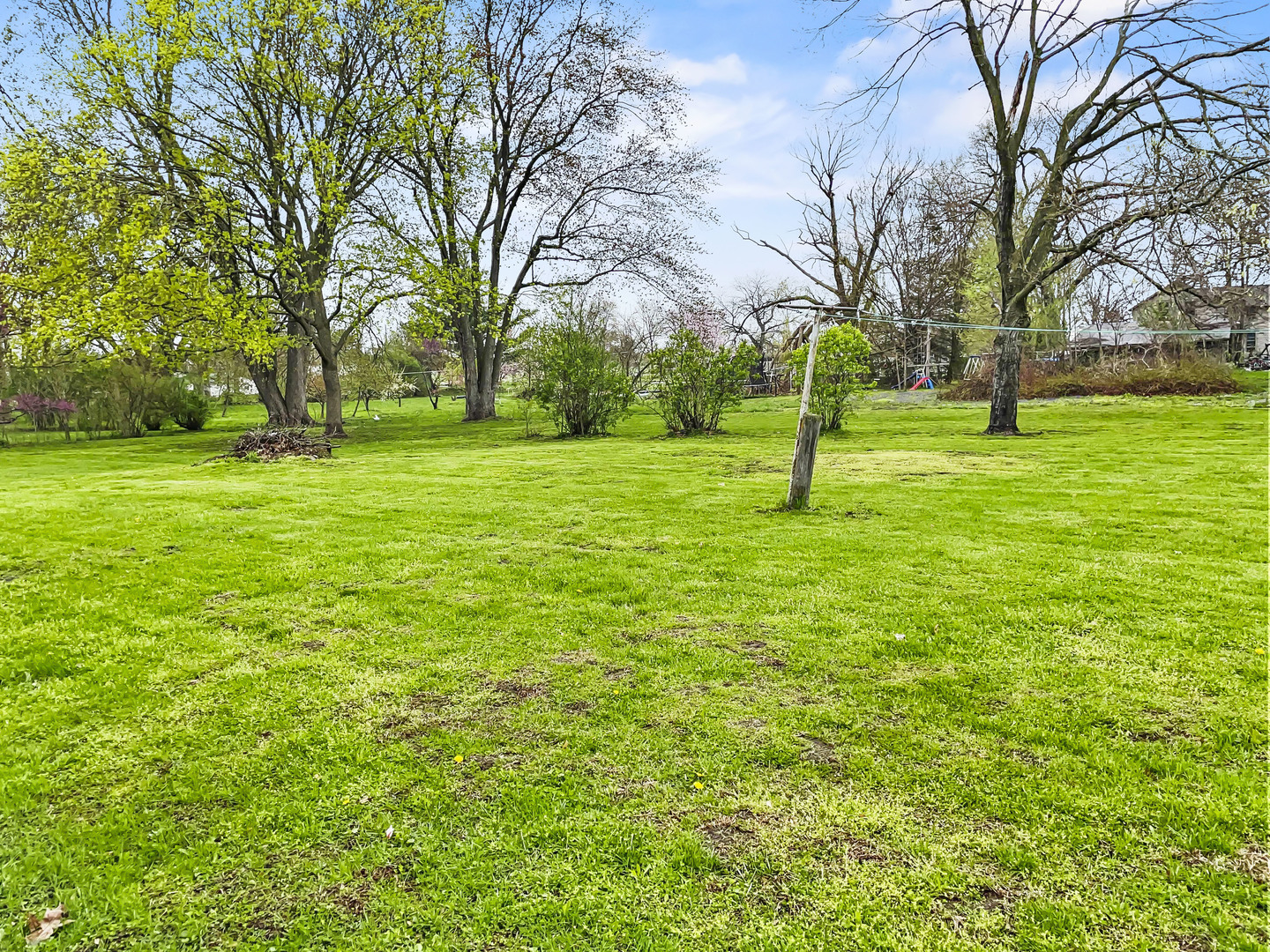 610 West Seminary Avenue Onarga, IL 60955 - Photo 10 of 10 a green field with lots of trees
