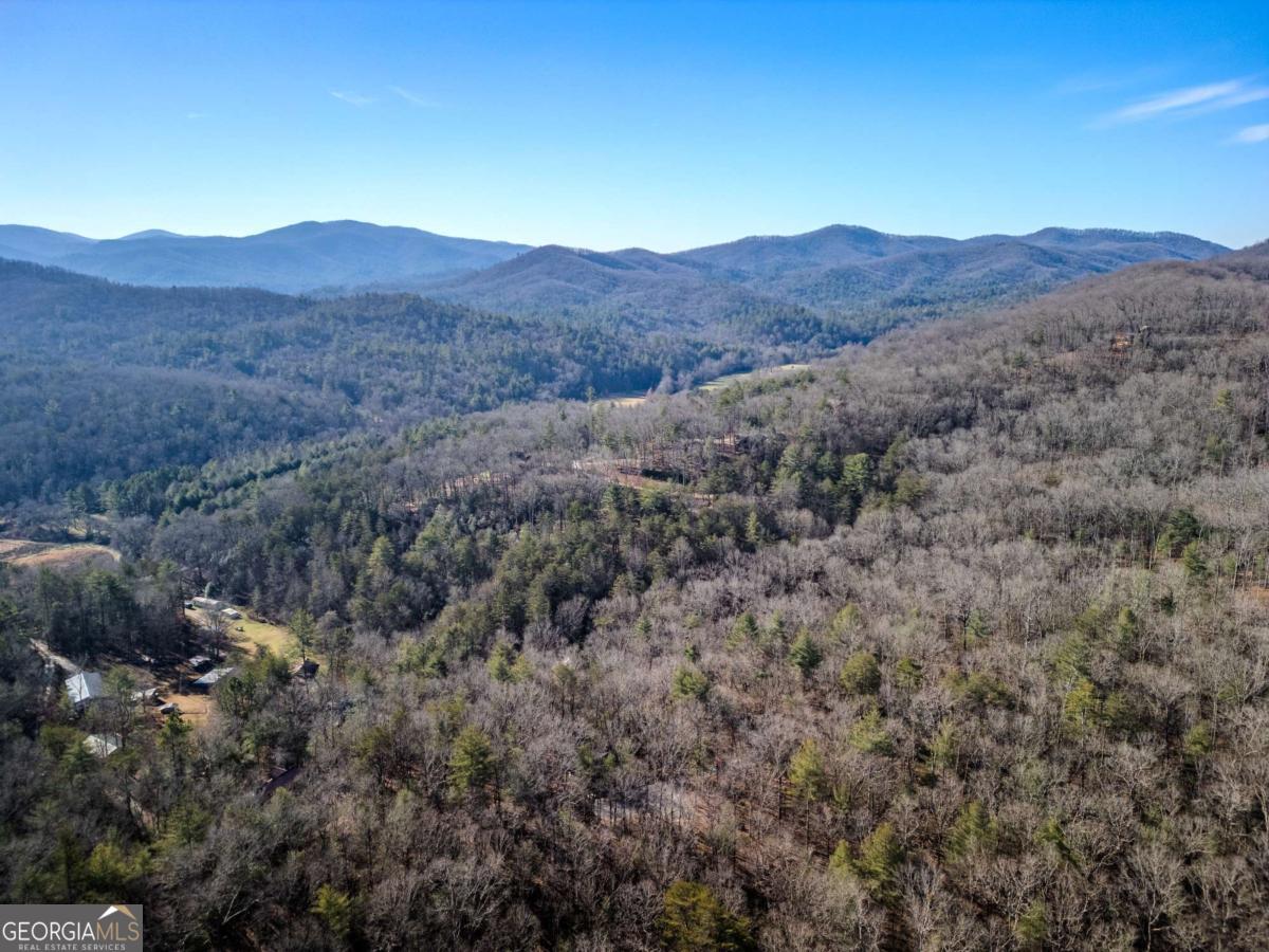 292 Wits End Way Cherry Log, GA 30522 - Photo 30 of 32 a view of a mountains in the background
