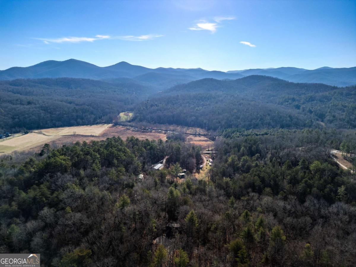 292 Wits End Way Cherry Log, GA 30522 - Photo 31 of 32 a view of a house with a mountain and a forest