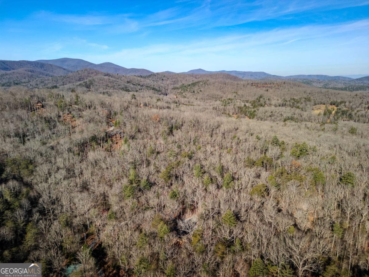 292 Wits End Way Cherry Log, GA 30522 - Photo 32 of 32 a view of a mountain range with lush green forest