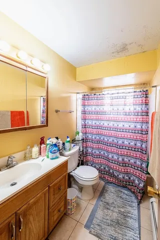a bathroom with a sink a toilet and shower curtain