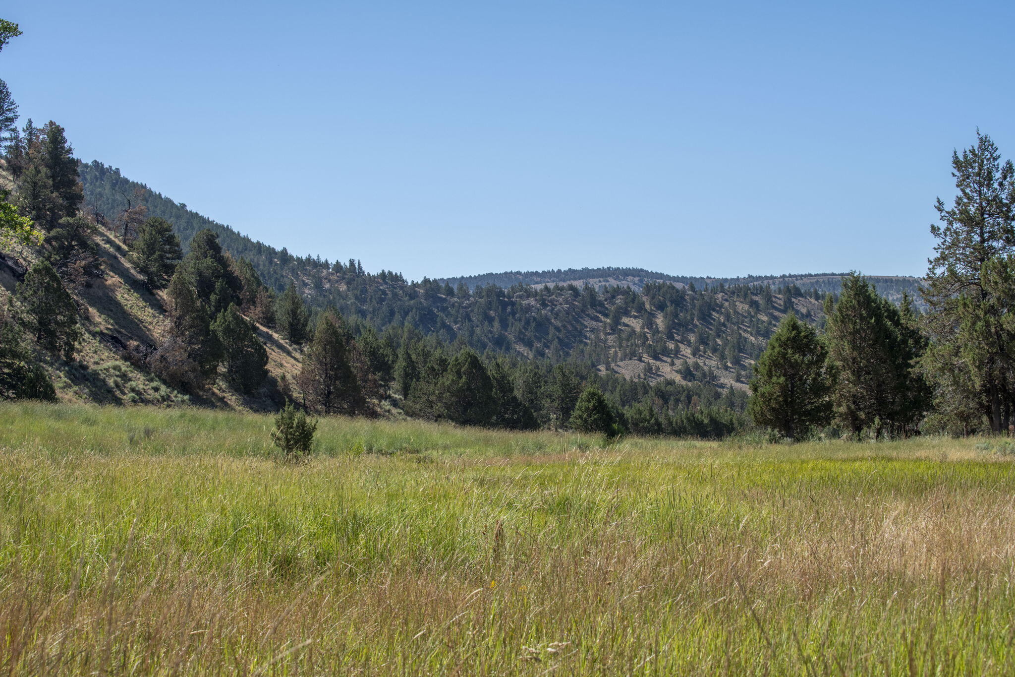 32500 Tackman Road Prineville, OR 97754 - Photo 96 of 112