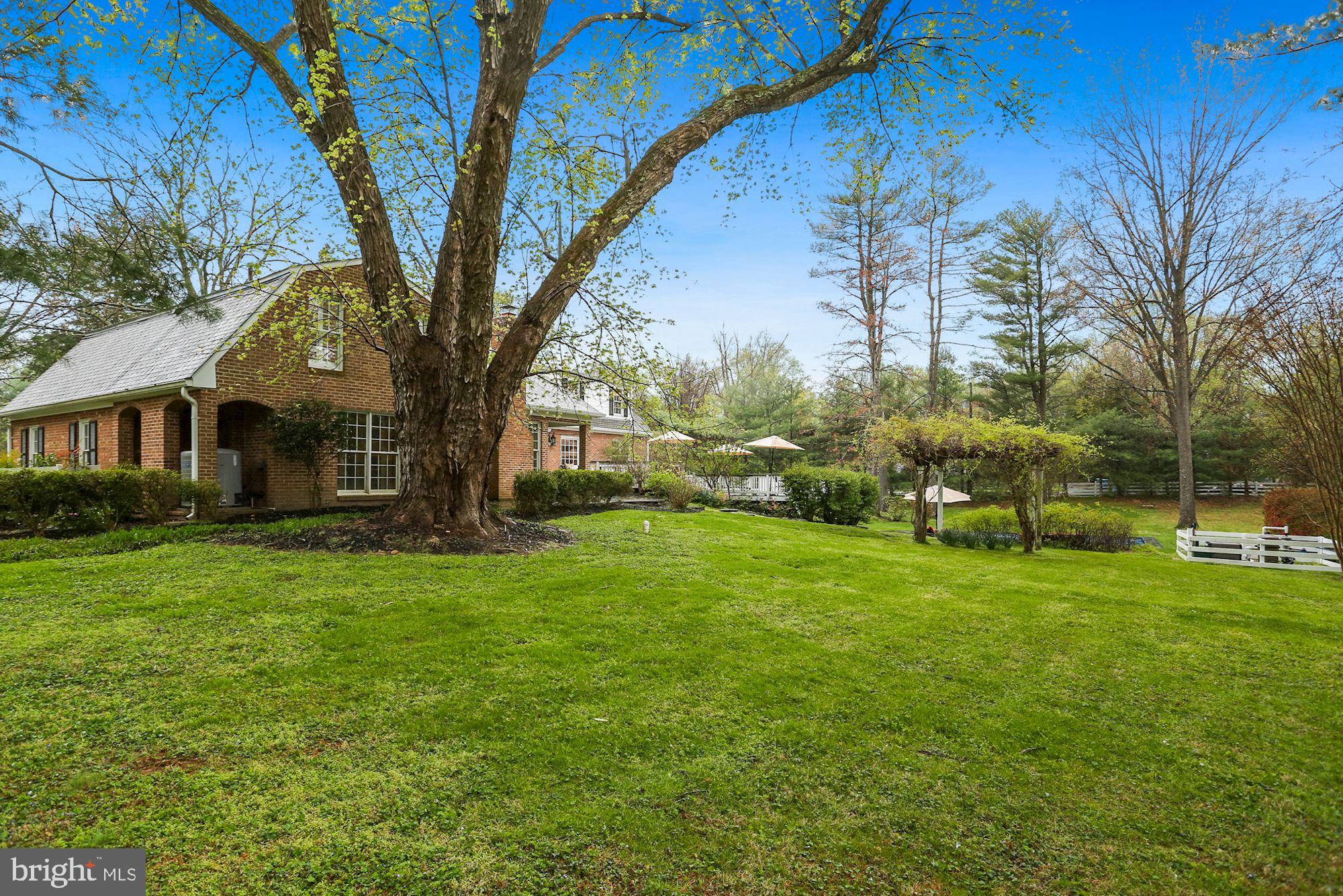 10220 Browns Mill Road Vienna, VA 22182 - Photo 59 of 64 Side yard