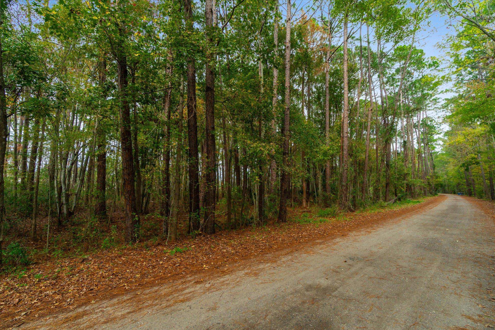 0 Splendora Lane Jacksonville, FL 32219 - Photo 11 of 17 a view of backyard with green space