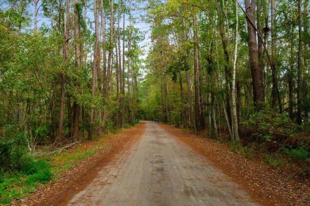 a view of backyard with green space