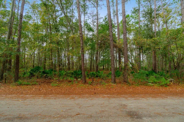 a view of outdoor space with trees