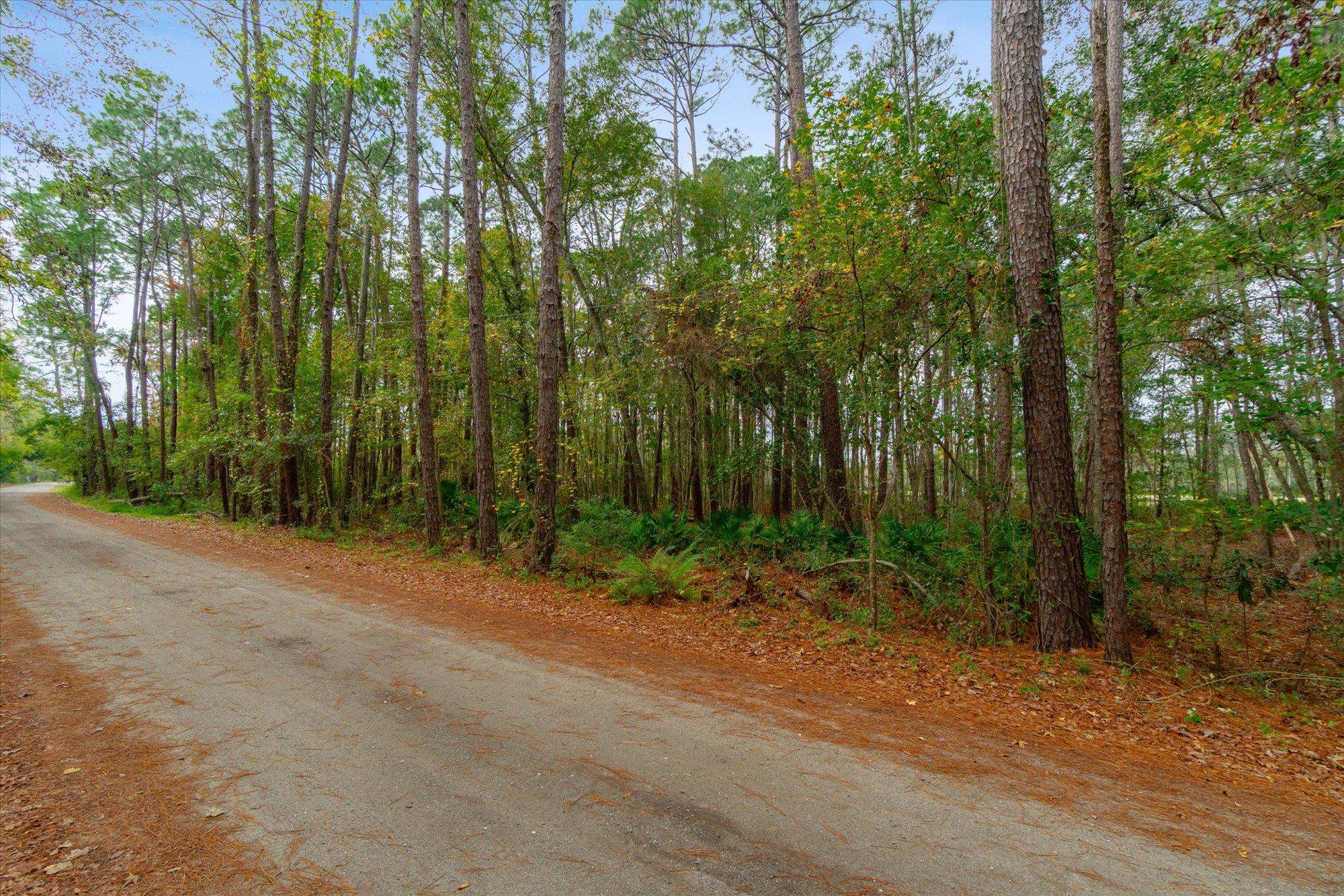 0 Splendora Lane Jacksonville, FL 32219 - Photo 10 of 17 a backyard of a house with lots of green space