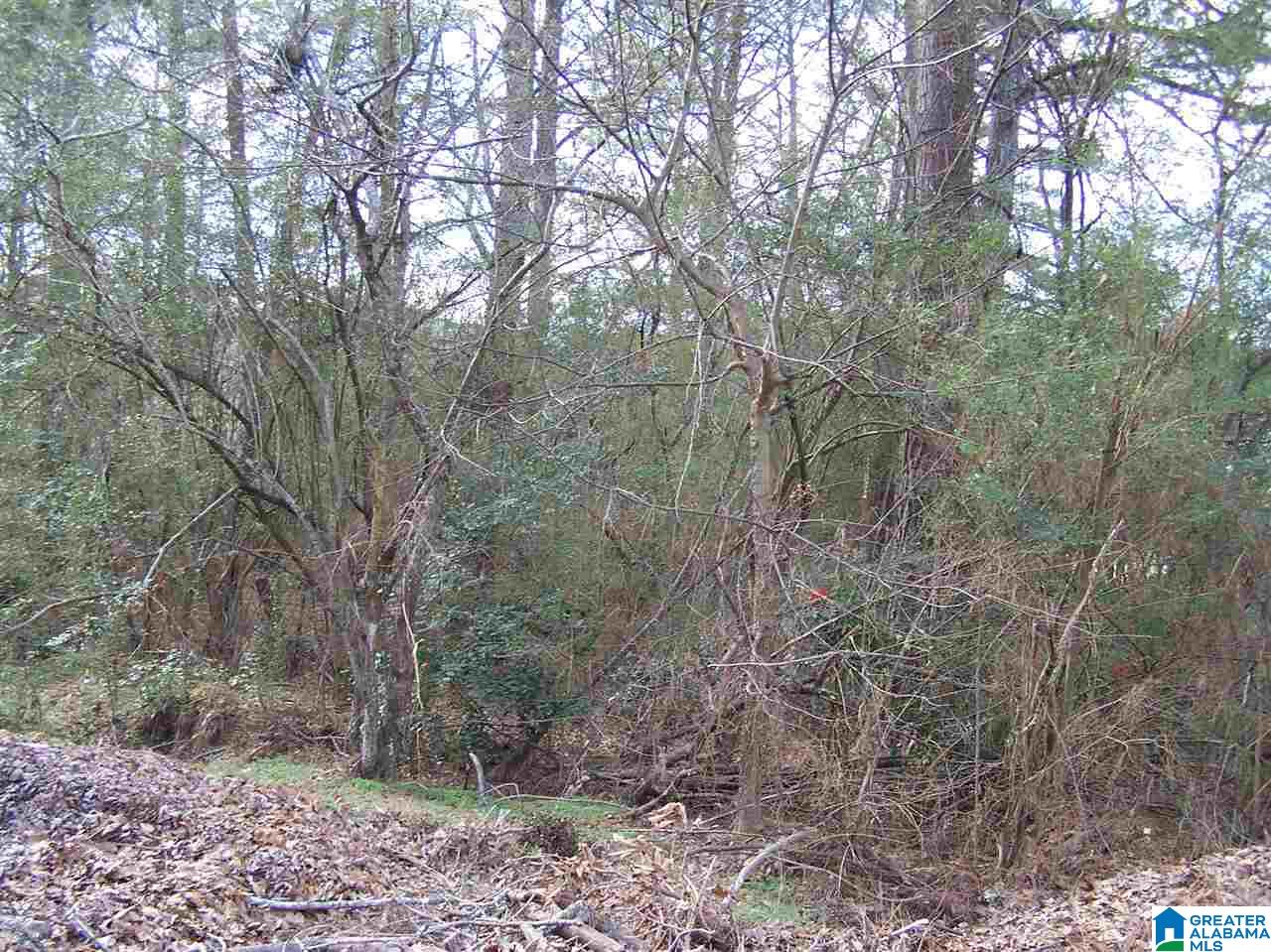 Virginia Street, Unit 6 & 7 Oneonta, AL 35121 - Photo 3 of 7