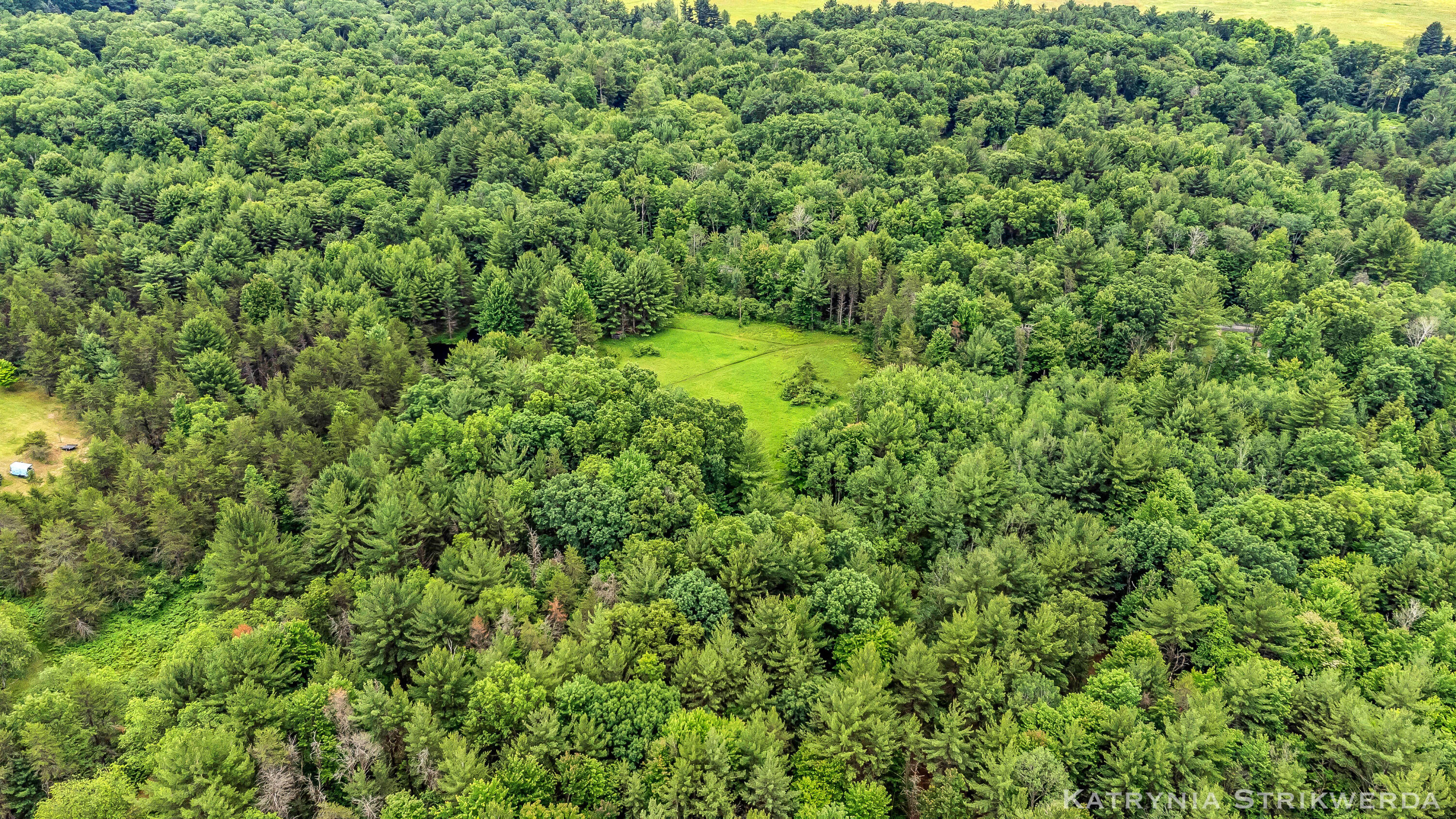 V/l East Kinney Road Branch, MI 49402 - Photo 7 of 41 DJI_0188_1