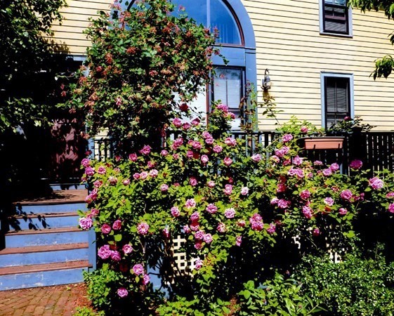 a view of a house with a flower garden