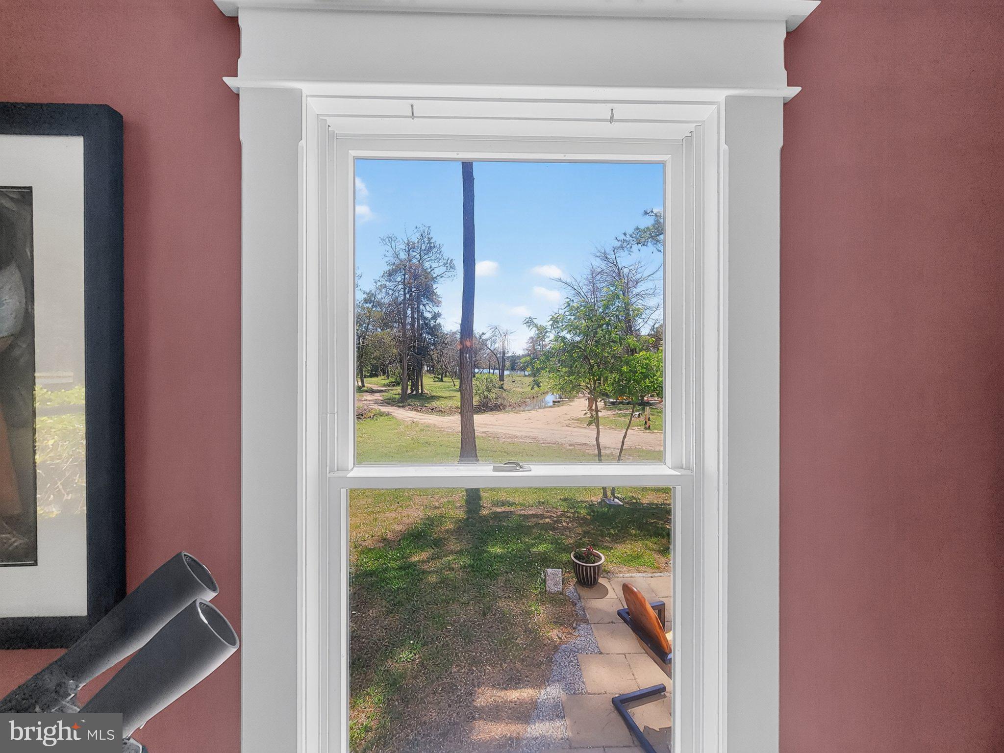 5214 David Greene Road Cambridge, MD 21613 - Photo 11 of 73 Framed tranquility: Nature's view.