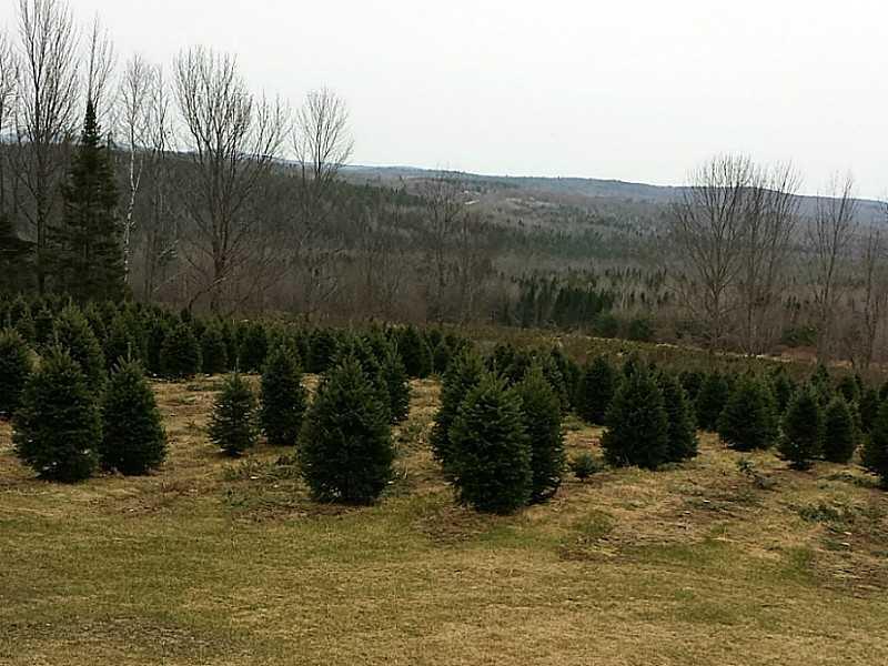 Lot 2 Rutland Road Plymouth, ME 04969 - Photo 7 of 35 Land.