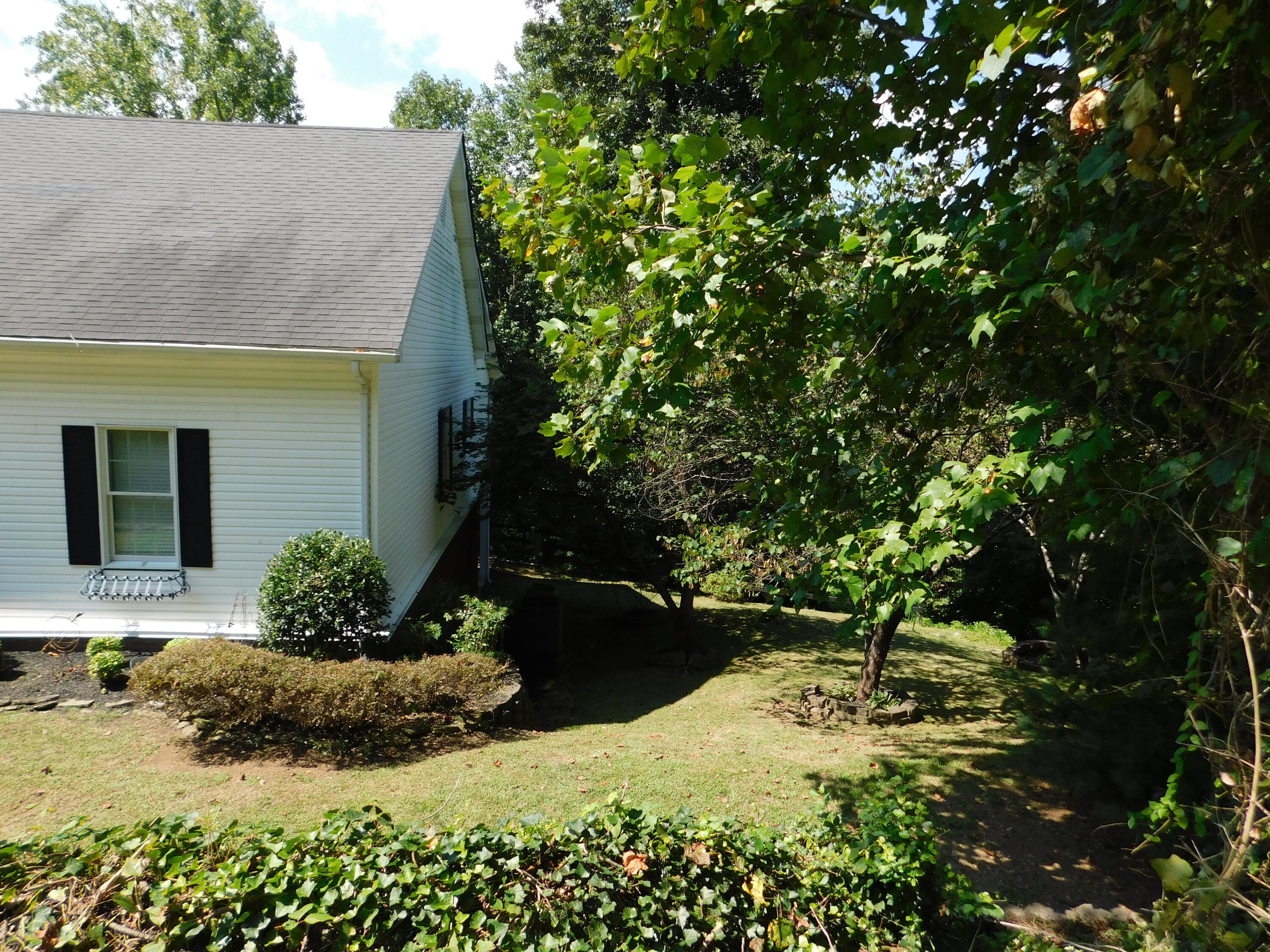 55 Timbercrest Estates Road Harlan, KY 40831 - Photo 176 of 198 DSCN5864