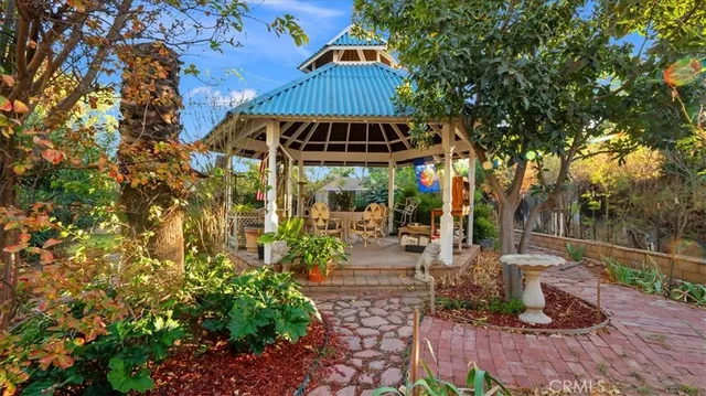 a view of a garden with plants and large trees