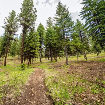 $550,000 | Lot 8 To Be Determined, Unit 8, McCall, ID 83638