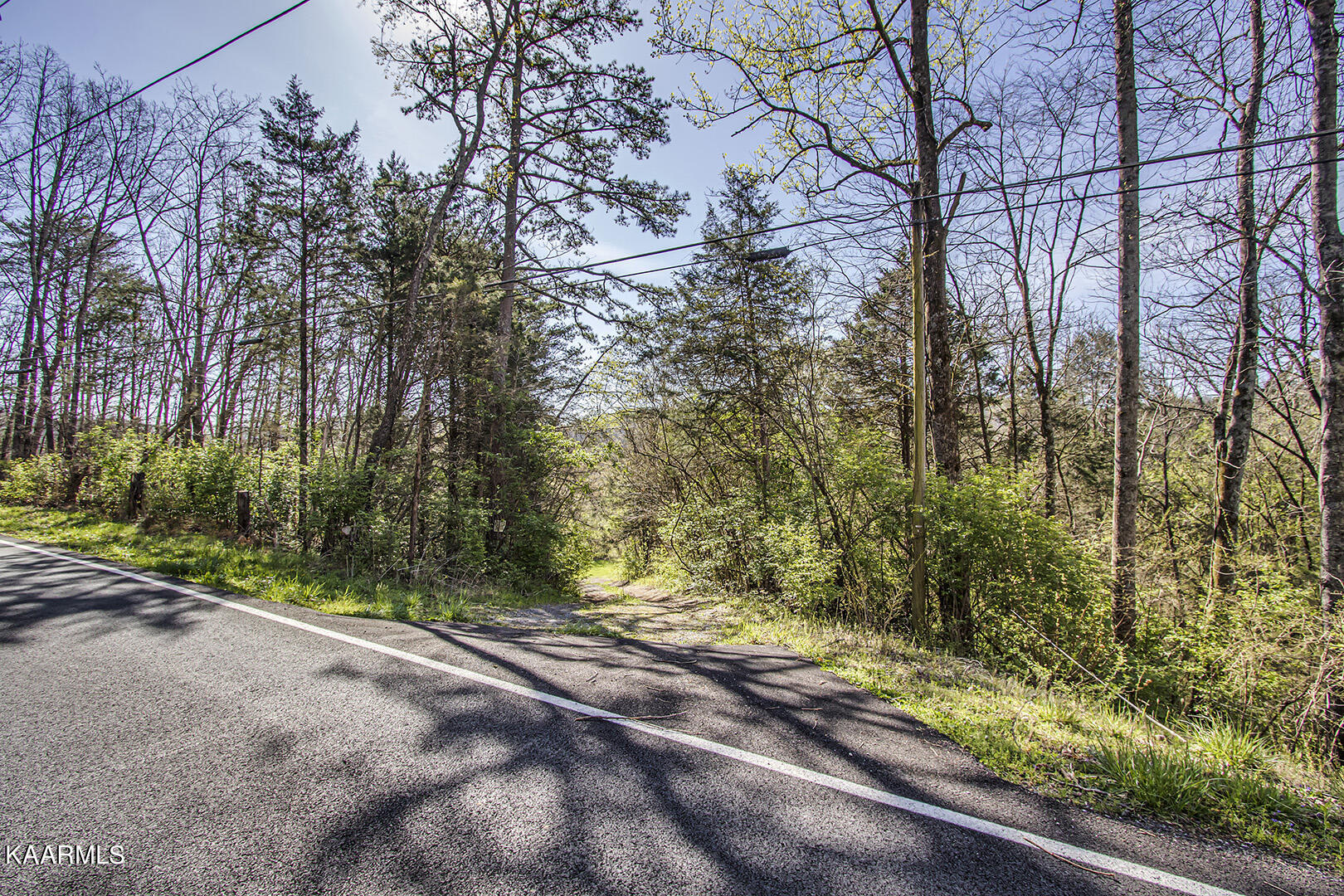 Tillery Road Powell, TN 37849 - Photo 2 of 17 02_TilleryRoad_540_Road_S-SE