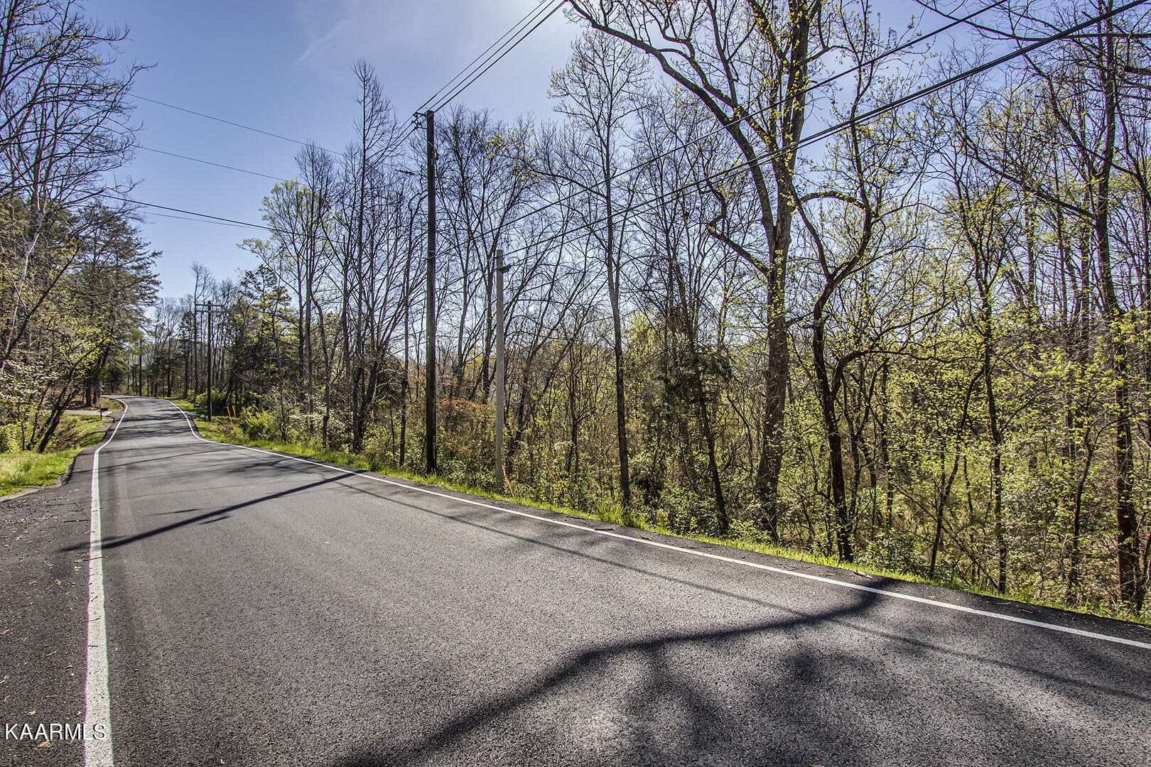 Tillery Road Powell, TN 37849 - Photo 4 of 17 04_TilleryRoad_540_Road_E-NE