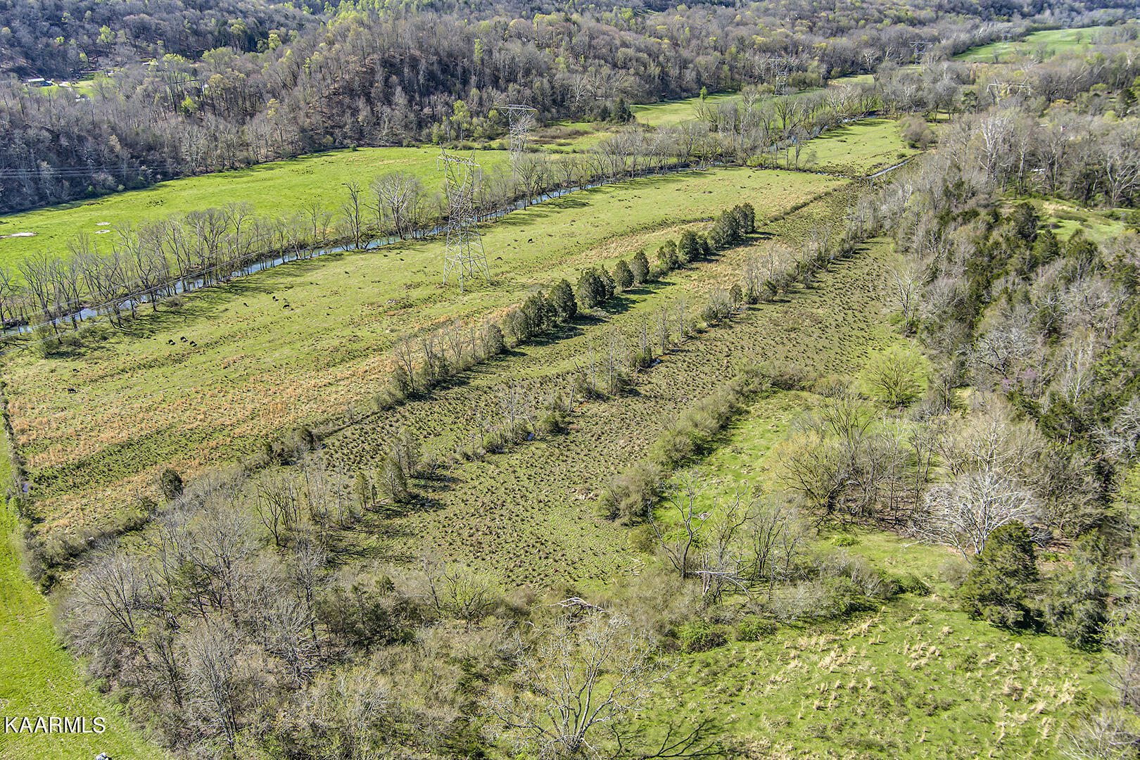 Tillery Road Powell, TN 37849 - Photo 8 of 17 08_TilleryRoad_540_ParcelDetail_SW