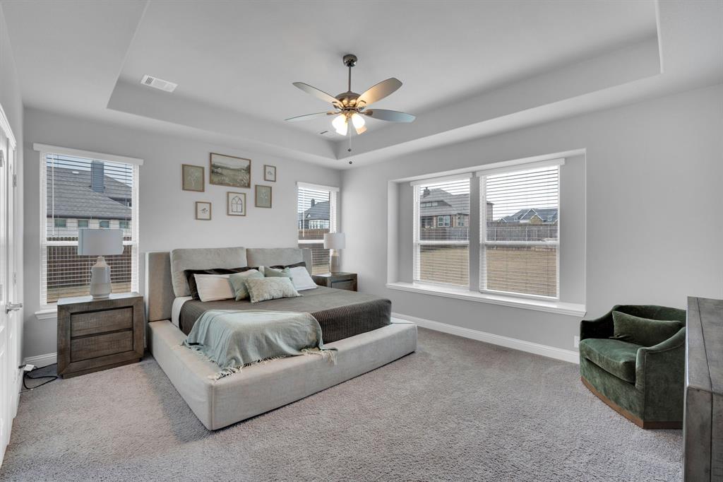 4605 Rambler Way Midlothian, TX 76065 - Photo 20 of 40 a living room with furniture and a window