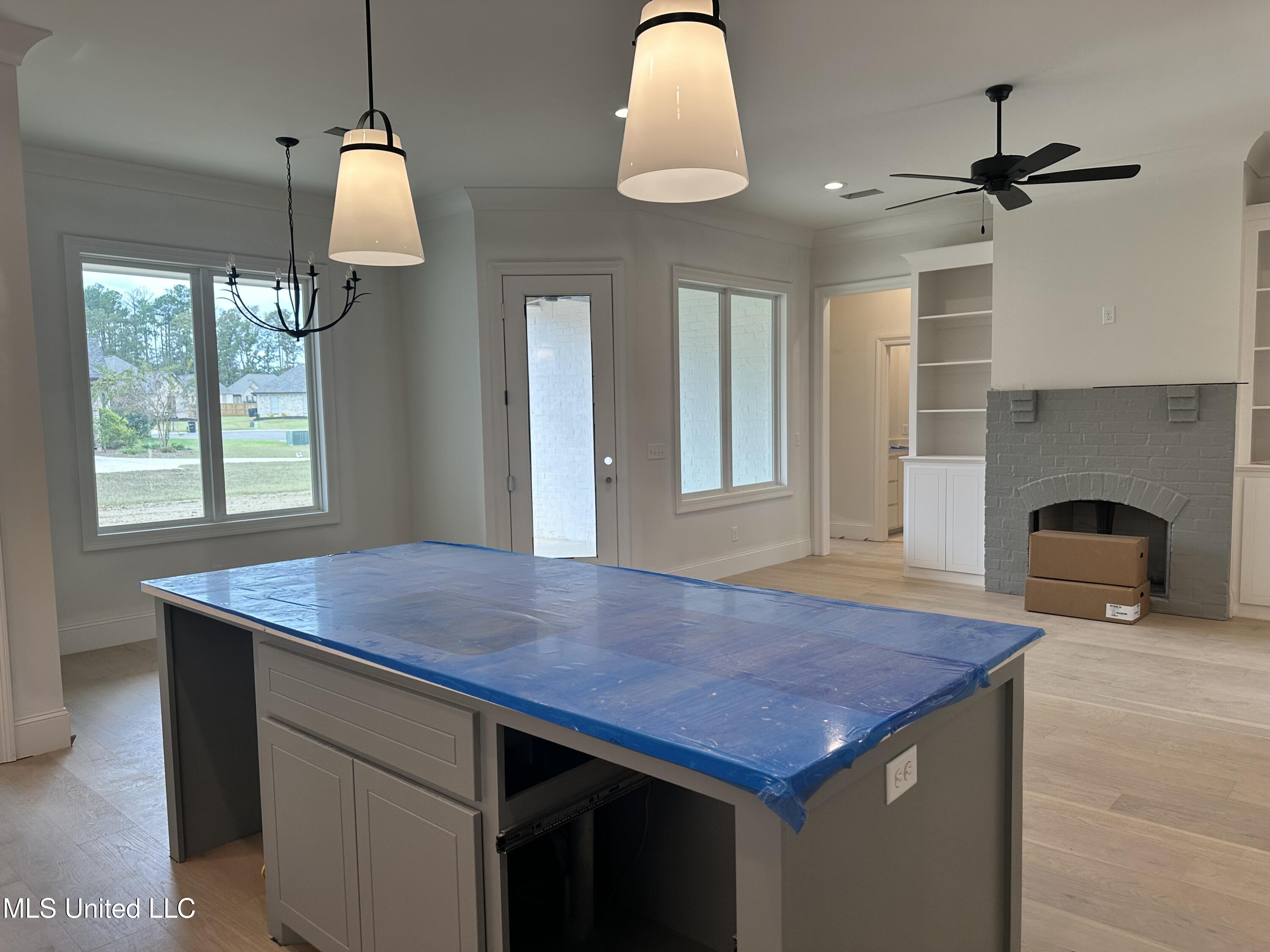 744 Bearing Way Brandon, MS 39047 - Photo 13 of 50 IMG_4134