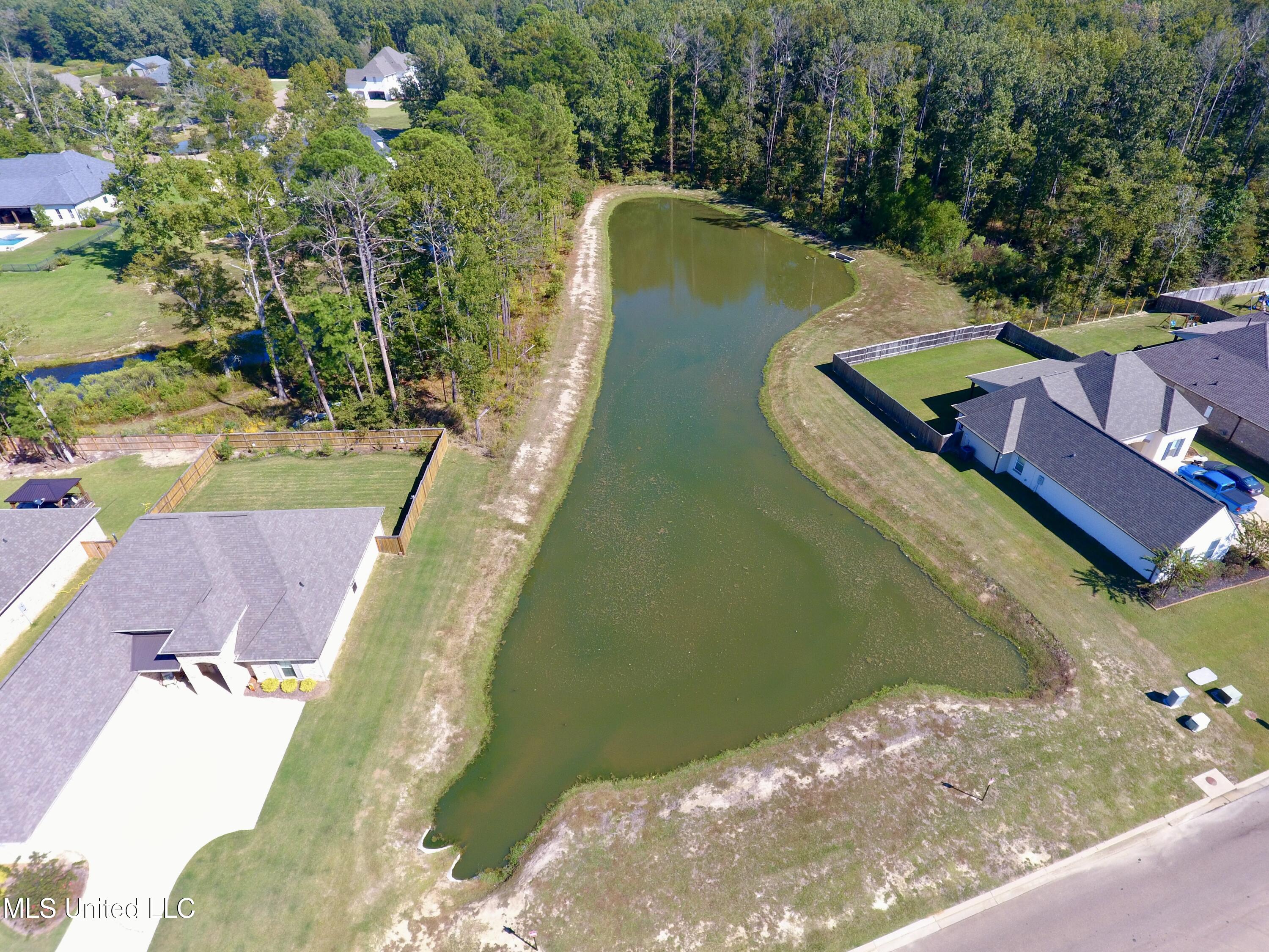 744 Bearing Way Brandon, MS 39047 - Photo 33 of 50 DJI_0153