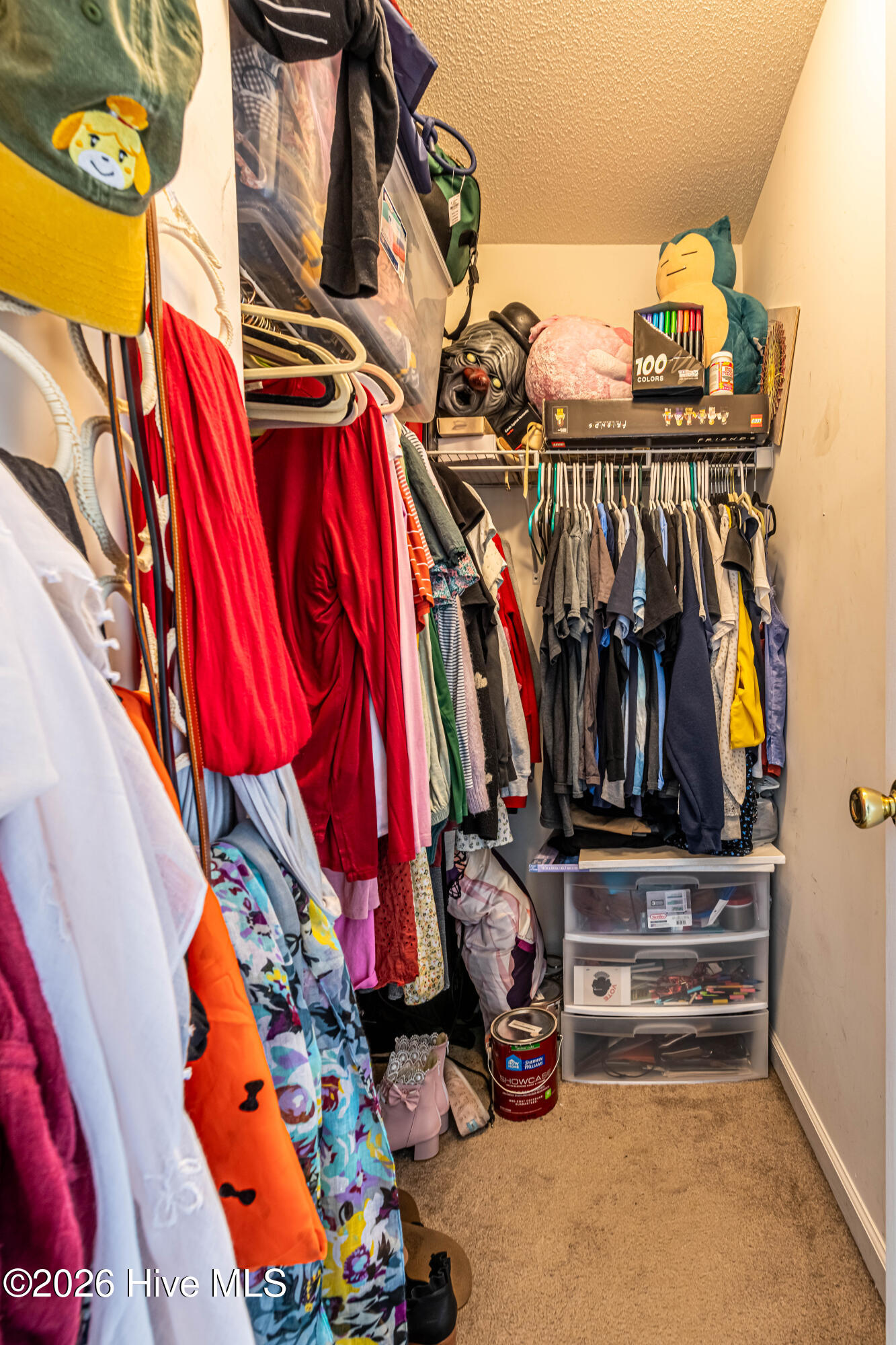 161 Kelly Circle Hubert, NC 28539 - Photo 25 of 39 Primary Closet