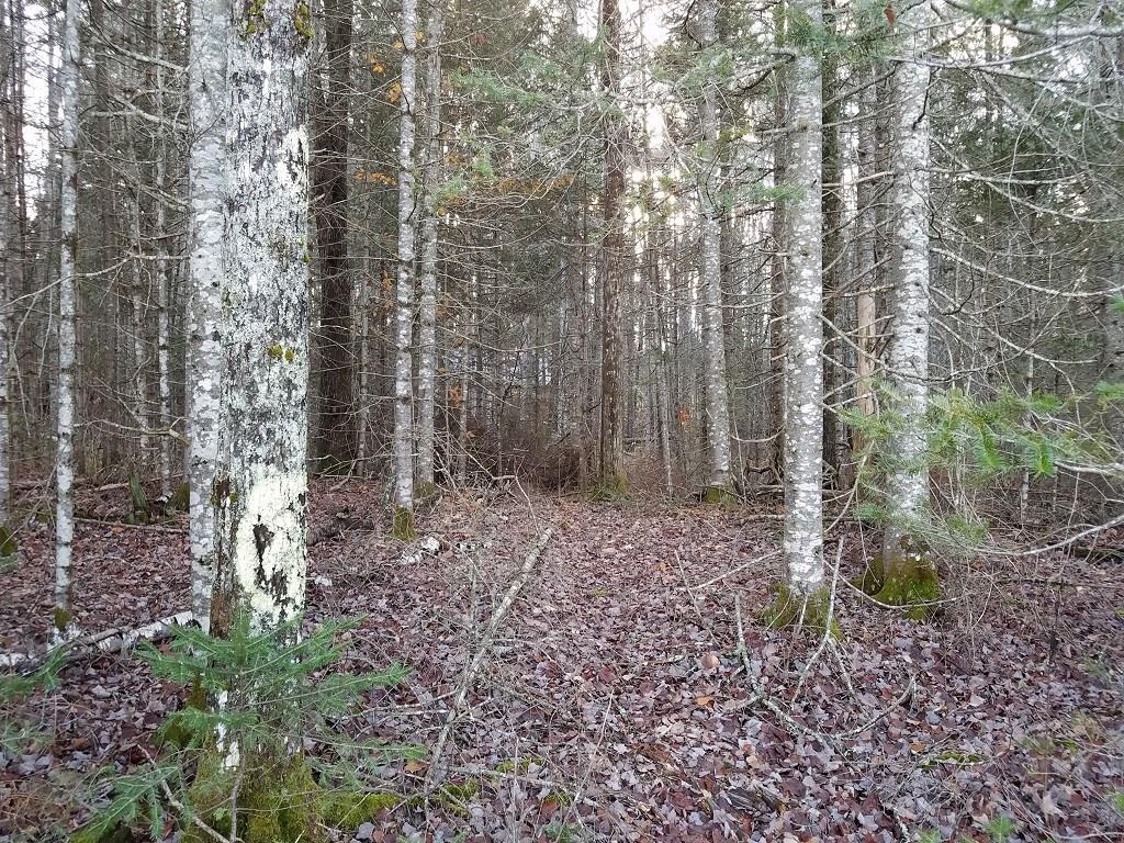 Tbd Morrison Farm Road Ellsworth, ME 04605 - Photo 17 of 18 Photo