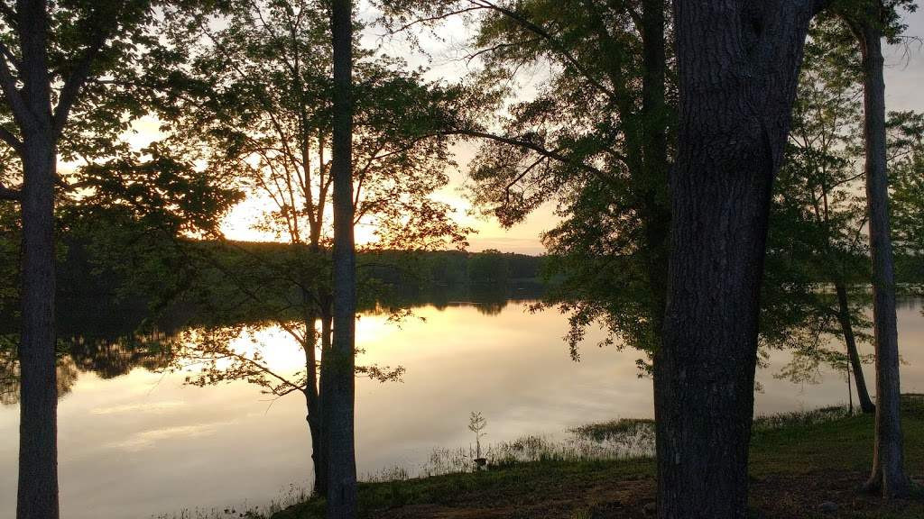 895 Ott Jones Road Walnut Grove, MS 39189 - Photo 3 of 37 Photo 3