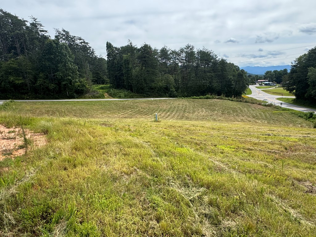 100 Cold Branch Road Hayesville, NC 28904 - Photo 7 of 14 Gallery Image 7