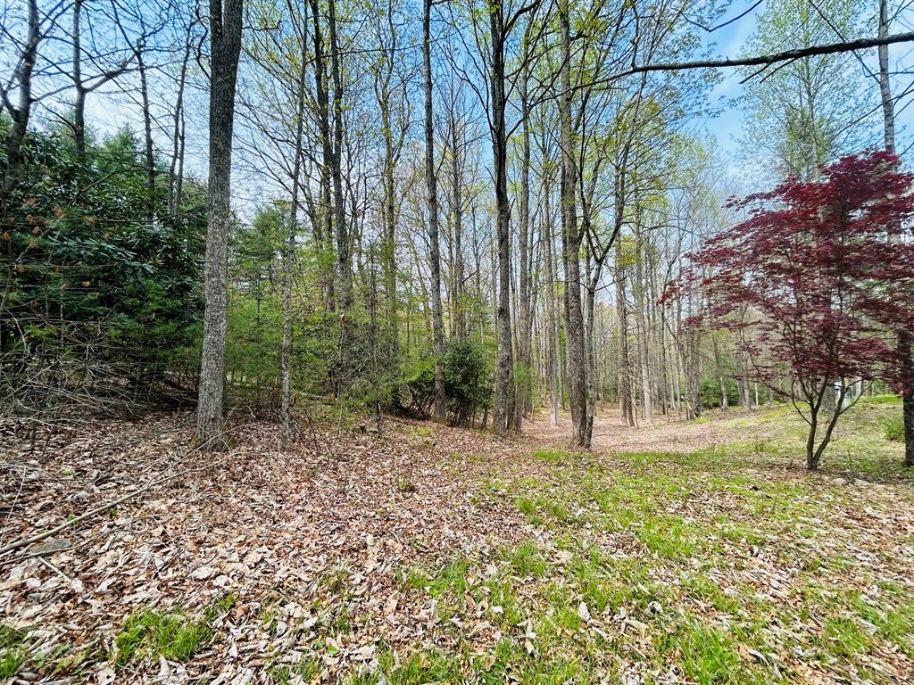 174 Round Hill Road, Unit 4 Fancy Gap, VA 24328 - Photo 18 of 18 Gallery Image 18