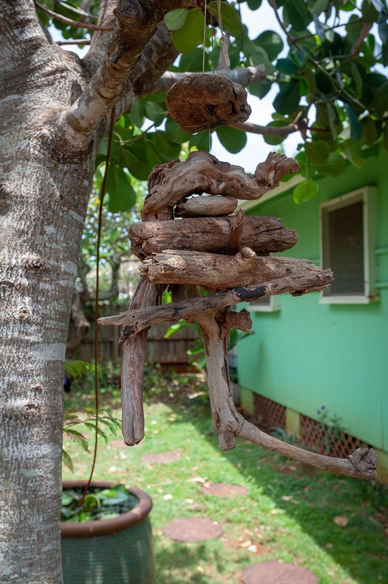 4896 Nunu Road, Unit 5 Kapaa, HI 96746 - Photo 14 of 16 Gallery Image 14
