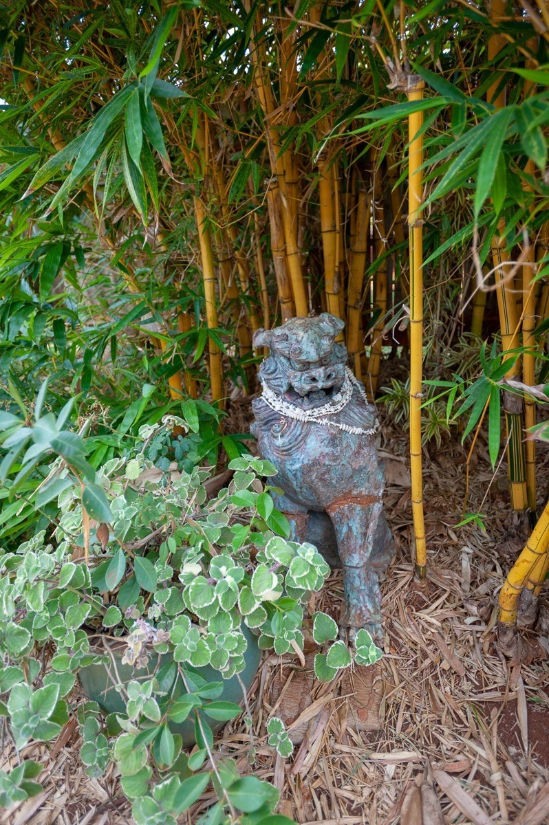 4896 Nunu Road, Unit 5 Kapaa, HI 96746 - Photo 15 of 16 Gallery Image 15