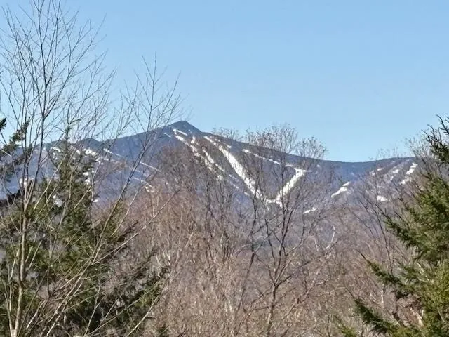 $835,000 | 0 Walker Hill Road, Bridgewater Corners, VT 05035