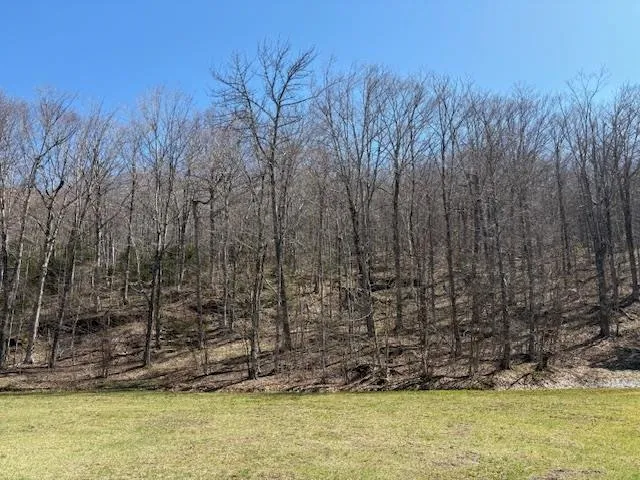 $835,000 | 0 Walker Hill Road, Bridgewater Corners, VT 05035